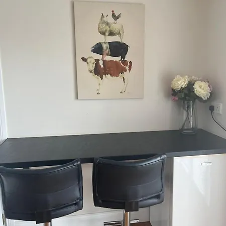 Carraig House 公寓 卡文